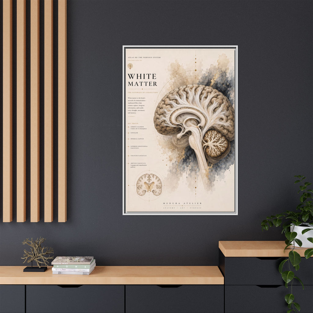 White Matter Brain Wall Art | Luxury Neuroscience Canvas Print | Museum-Inspired Fine Art