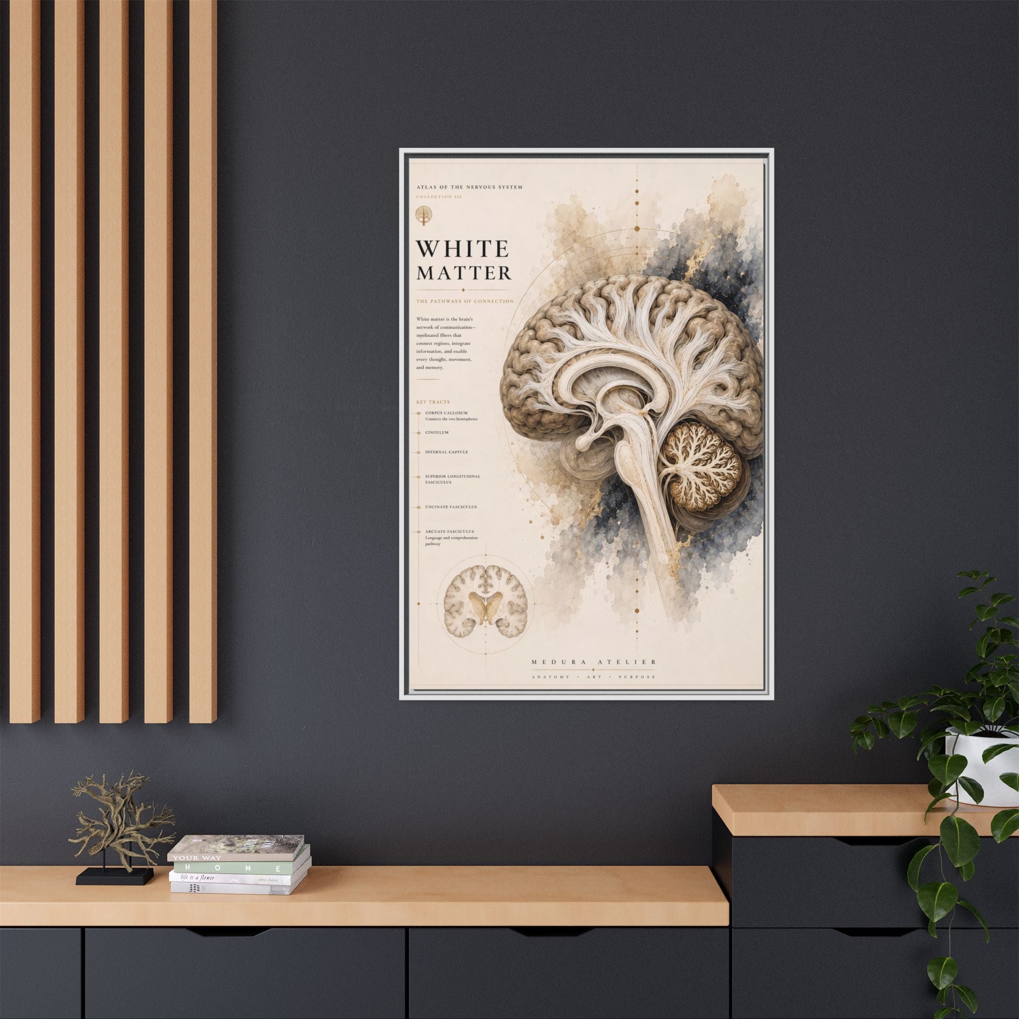 White Matter Brain Wall Art | Luxury Neuroscience Canvas Print | Museum-Inspired Fine Art