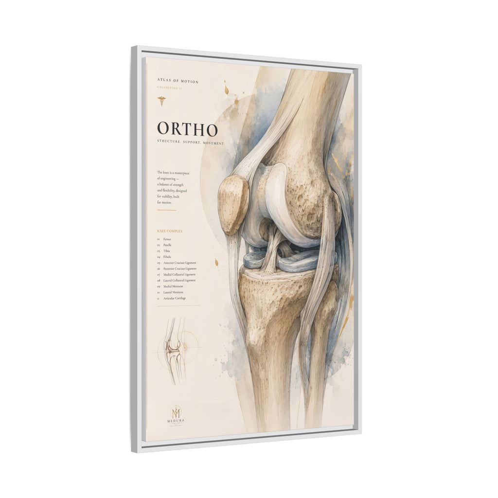 Orthopaedic Knee Anatomy Wall Art | Luxury Orthopedic Canvas Print | Museum-Inspired Fine Art