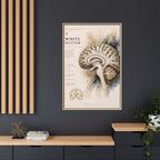 White Matter Brain Wall Art | Luxury Neuroscience Canvas Print | Museum-Inspired Fine Art