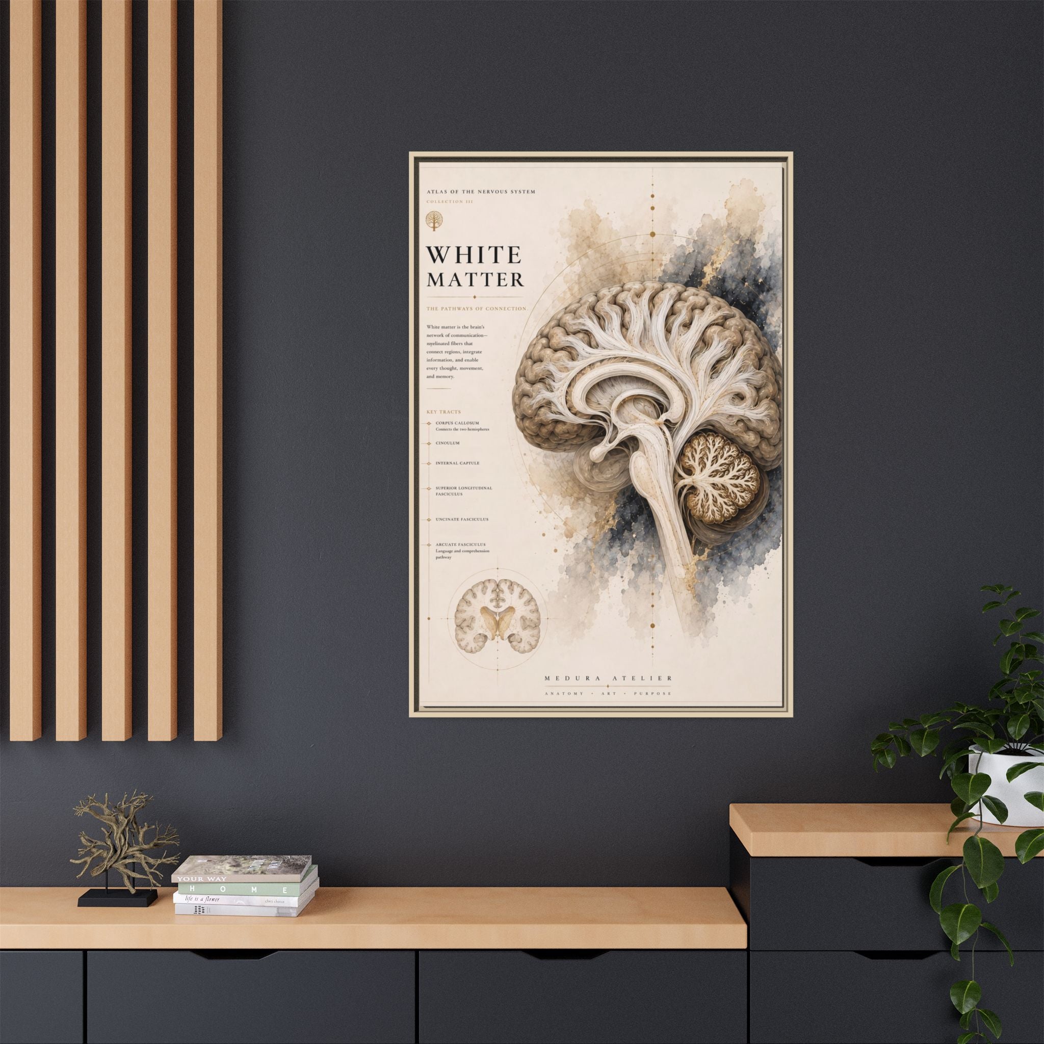 White Matter Brain Wall Art | Luxury Neuroscience Canvas Print | Museum-Inspired Fine Art