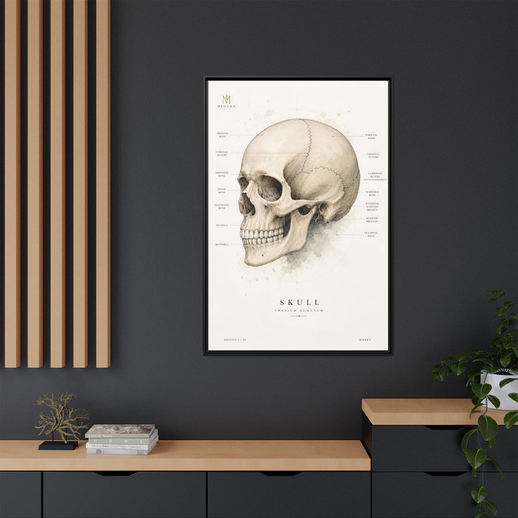 Anatomical Skull Wall Art | Luxury Medical Canvas Print | Museum-Inspired Fine Art
