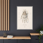 Anatomical Hand Skeleton Wall Art | Luxury Orthopaedic Canvas Print | Museum-Inspired Fine Art