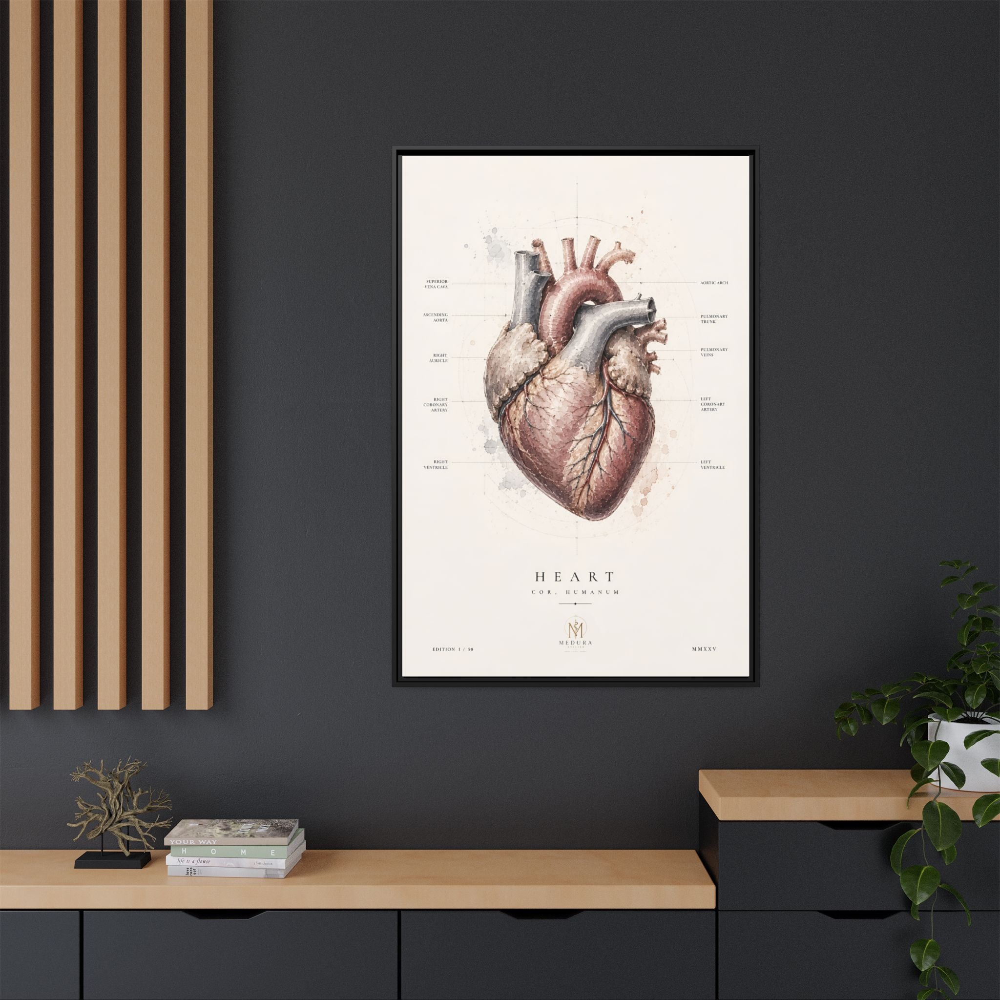 Anatomical Heart Wall Art | Luxury Medical Canvas Print | Museum-Inspired Fine Art