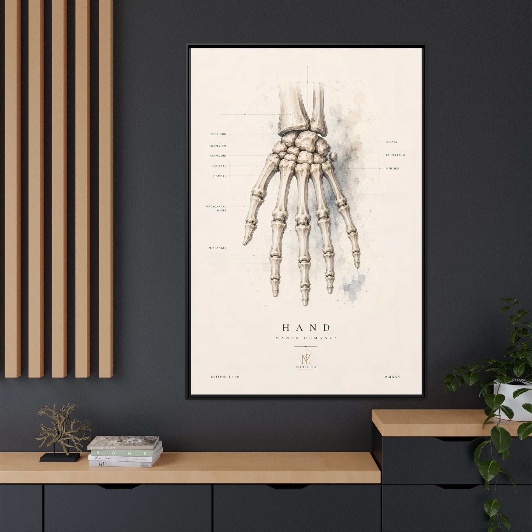 Anatomical Hand Skeleton Wall Art | Luxury Orthopaedic Canvas Print | Museum-Inspired Fine Art