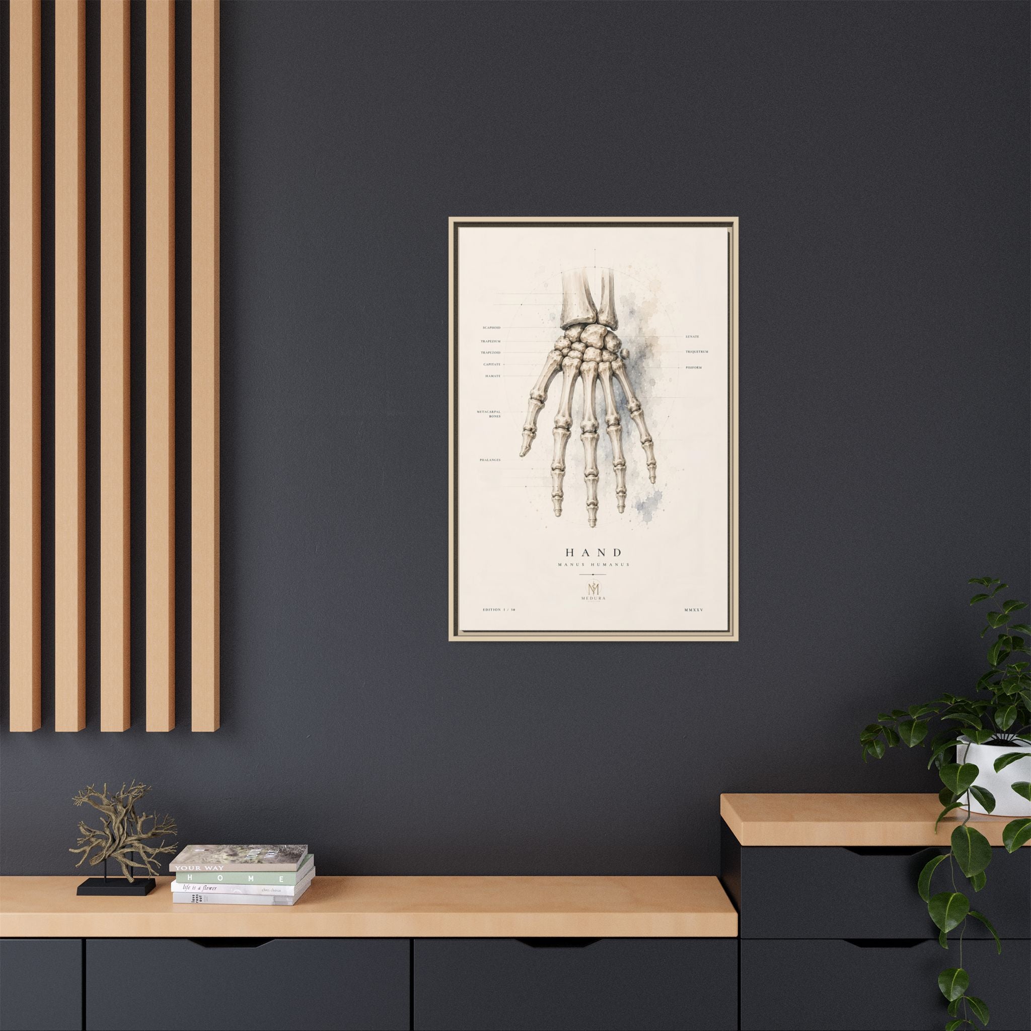 Anatomical Hand Skeleton Wall Art | Luxury Orthopaedic Canvas Print | Museum-Inspired Fine Art