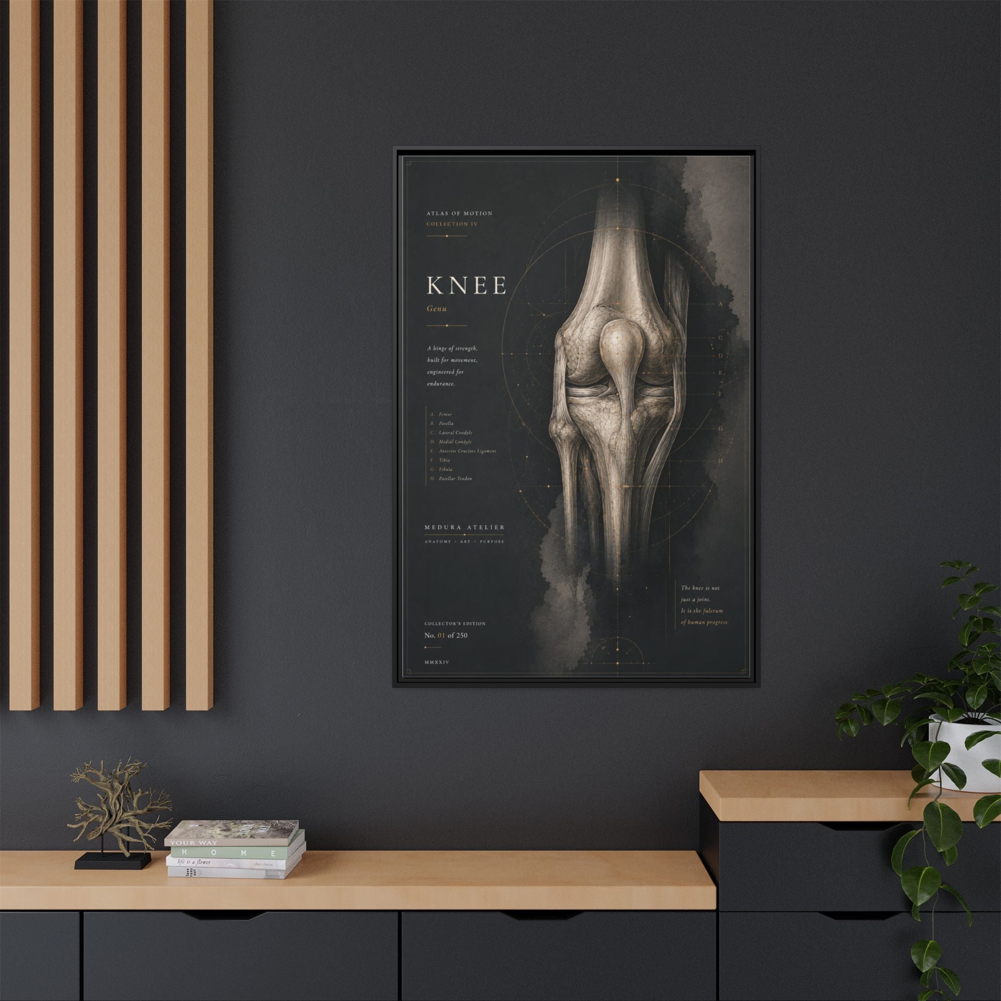 Atlas of Motion – Knee Wall Art | Luxury Orthopedic Canvas Print | Museum-Inspired Fine Art