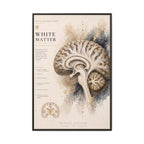 White Matter Brain Wall Art | Luxury Neuroscience Canvas Print | Museum-Inspired Fine Art