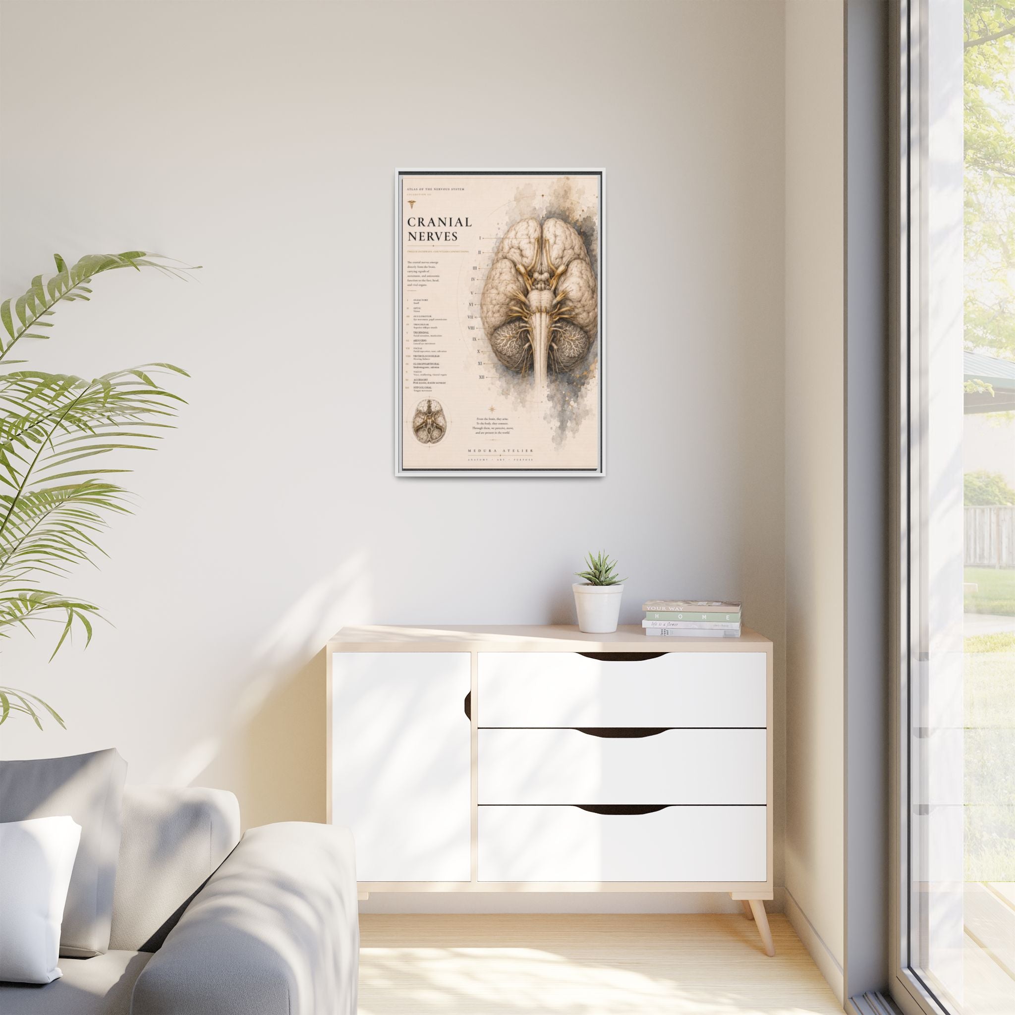White Matter Brain Wall Art | Luxury Neuroscience Canvas Print | Museum-Inspired Fine Art