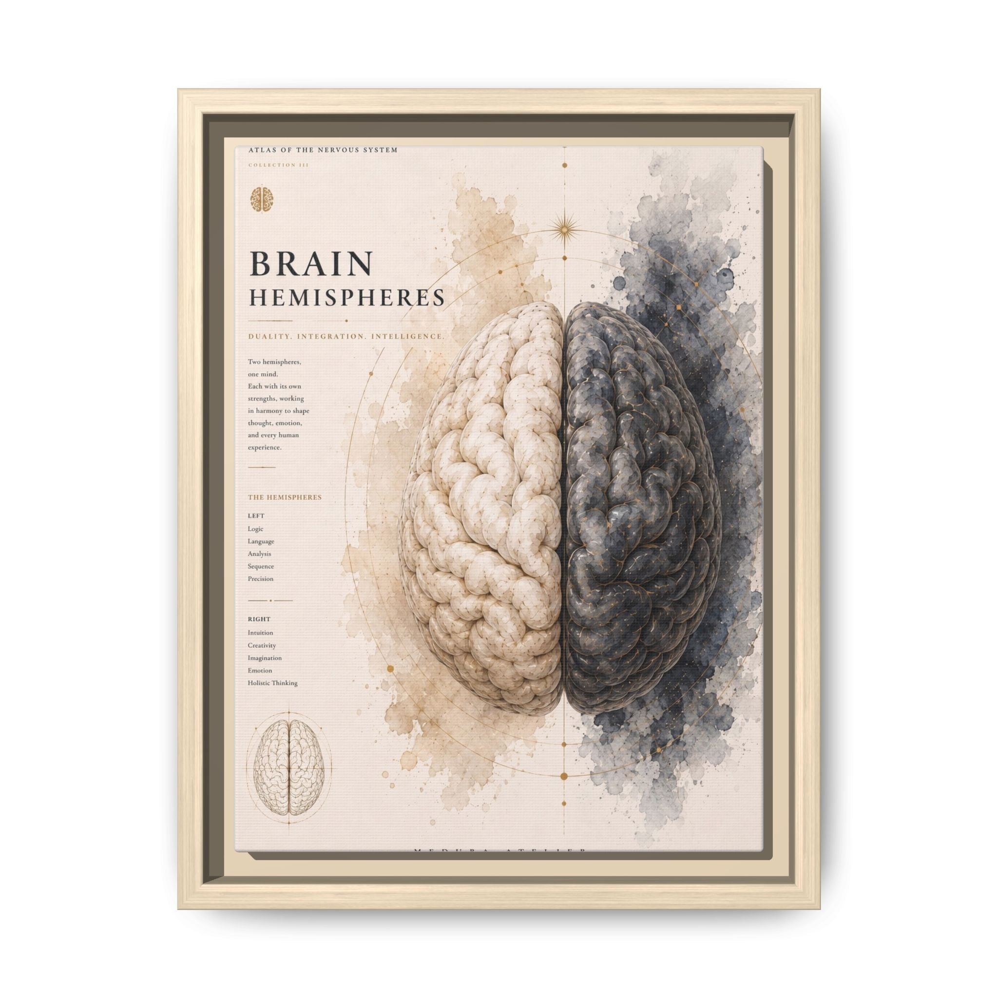 Brain Hemispheres Wall Art | Luxury Neuroscience Canvas Print | Museum-Inspired Fine Art
