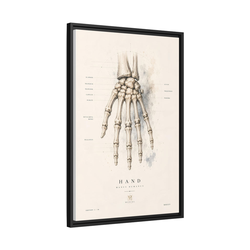Anatomical Hand Skeleton Wall Art | Luxury Orthopaedic Canvas Print | Museum-Inspired Fine Art