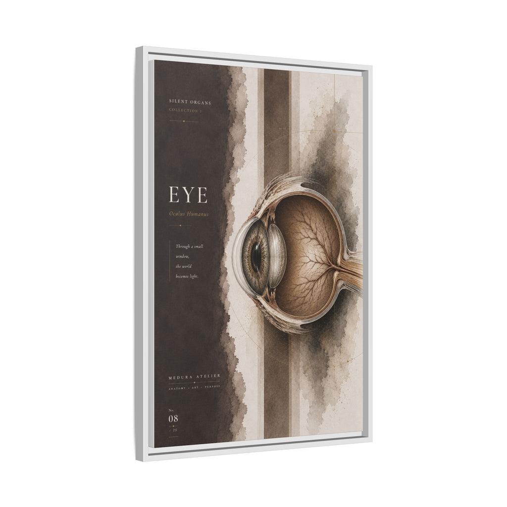Silent Organs – Eye Wall Art | Luxury Anatomical Canvas Print | Museum-Inspired Fine Art