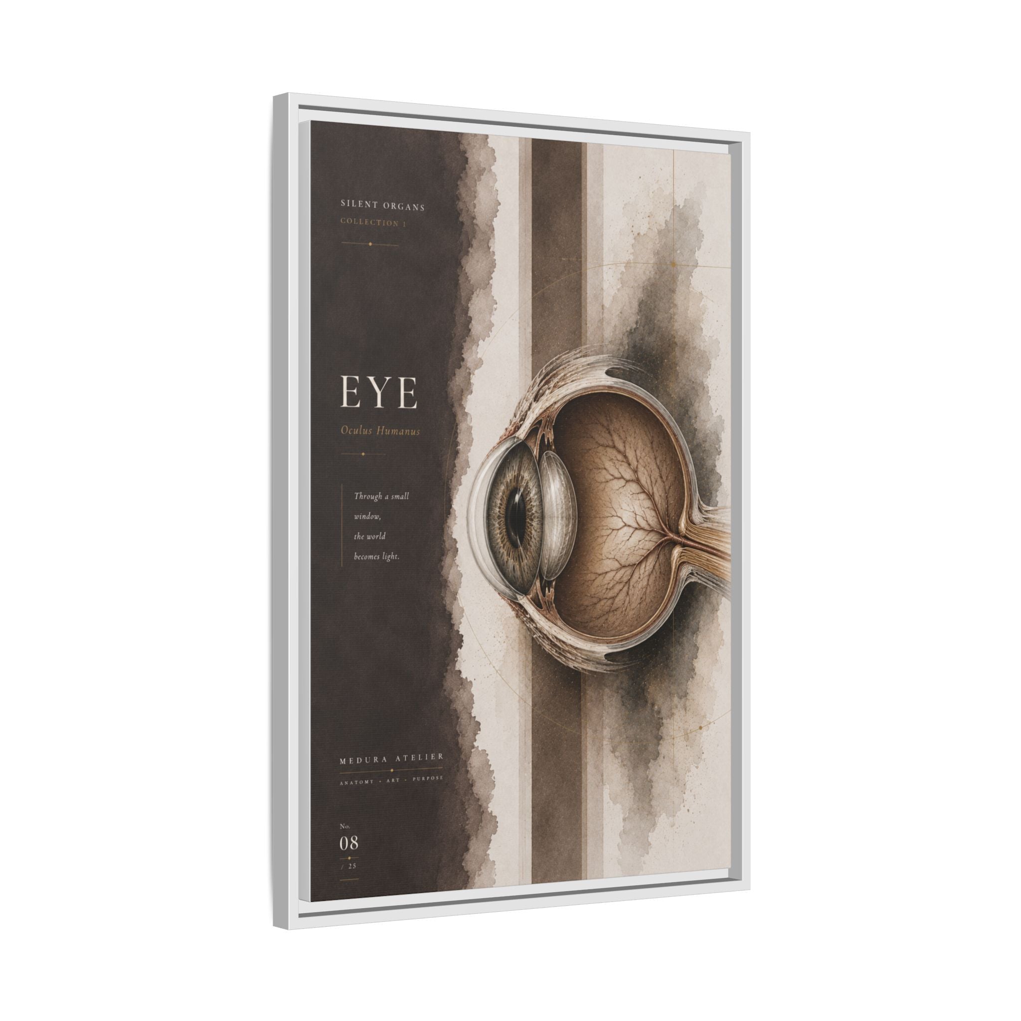 Silent Organs – Eye Wall Art | Luxury Anatomical Canvas Print | Museum-Inspired Fine Art