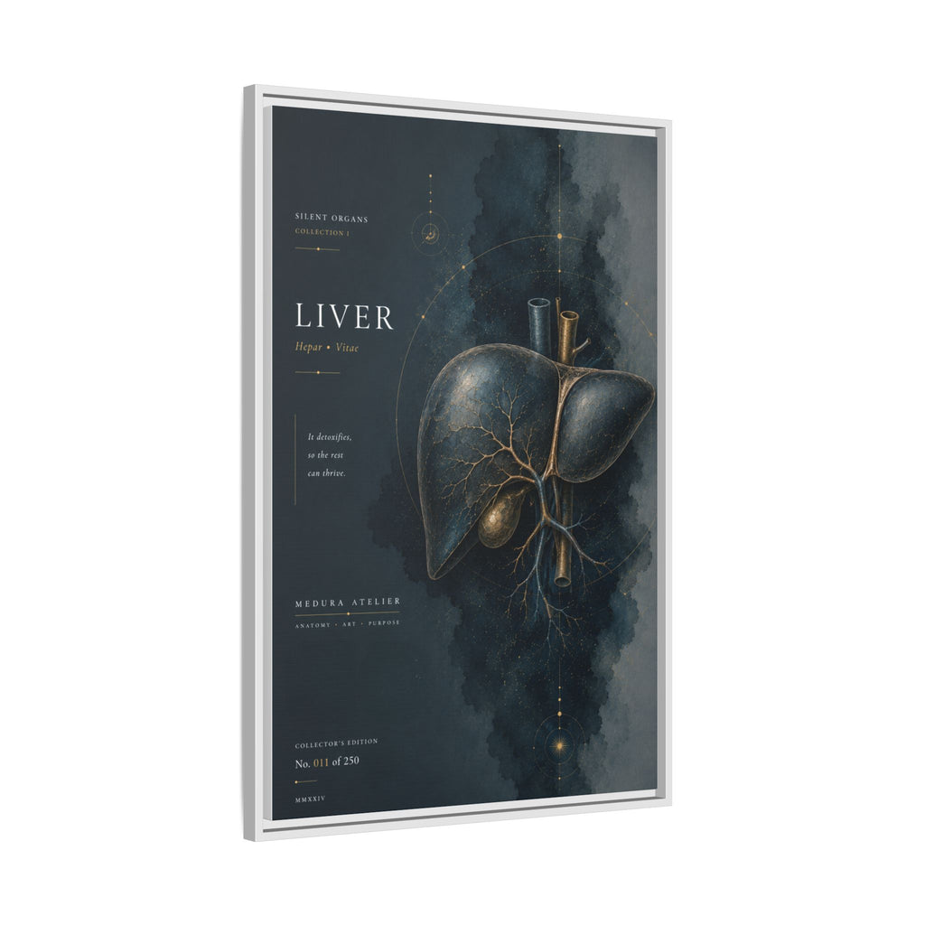 Silent Organs – Liver Wall Art | Luxury Anatomical Canvas Print | Museum-Inspired Fine Art