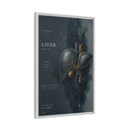 Silent Organs – Liver Wall Art | Luxury Anatomical Canvas Print | Museum-Inspired Fine Art