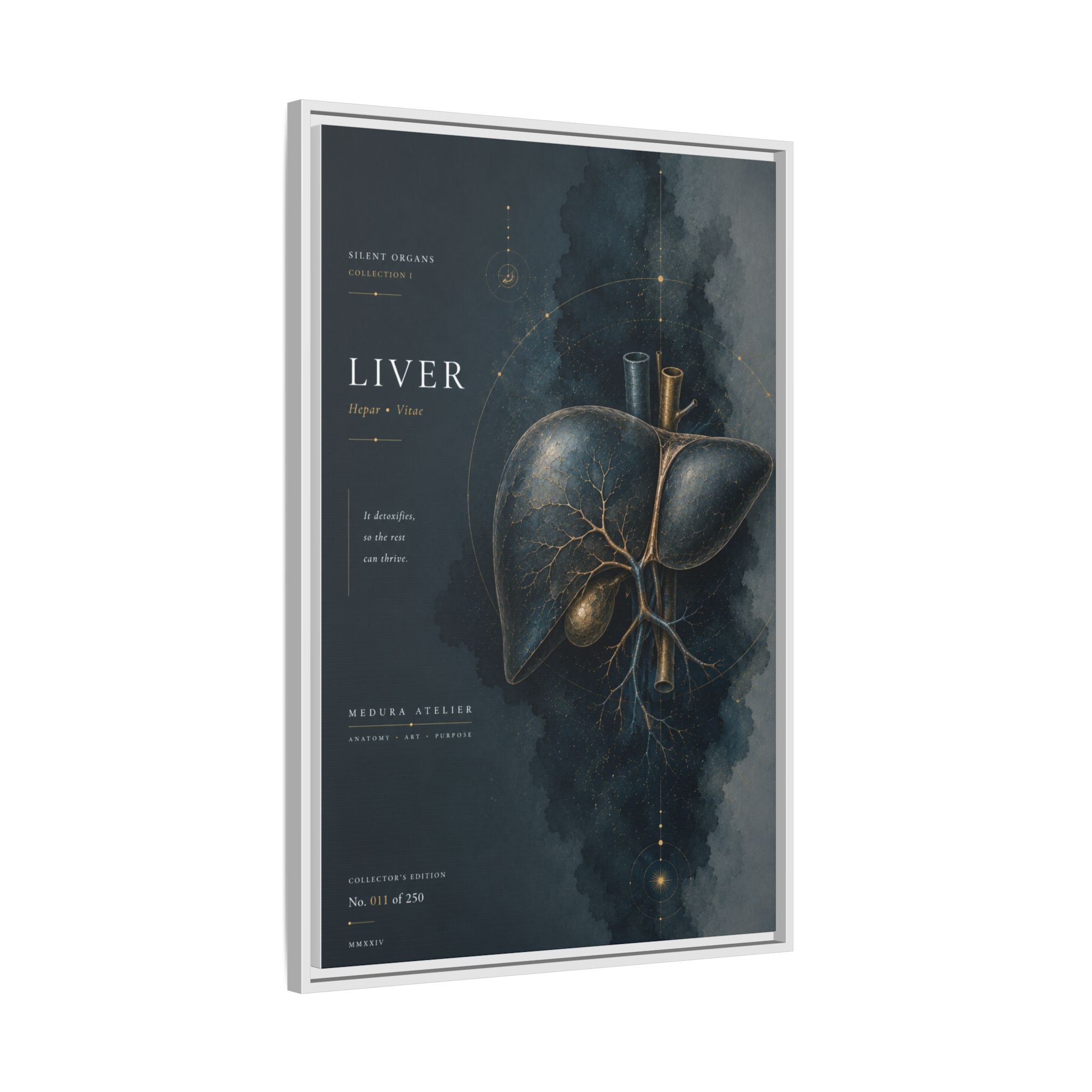 Silent Organs – Liver Wall Art | Luxury Anatomical Canvas Print | Museum-Inspired Fine Art