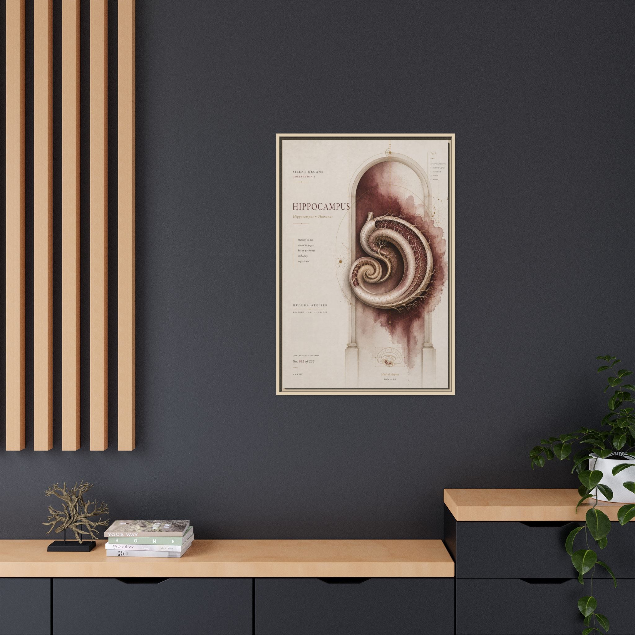 Silent Organs – Hippocampus Wall Art | Luxury Neuroscience Canvas Print | Museum-Inspired Fine Art