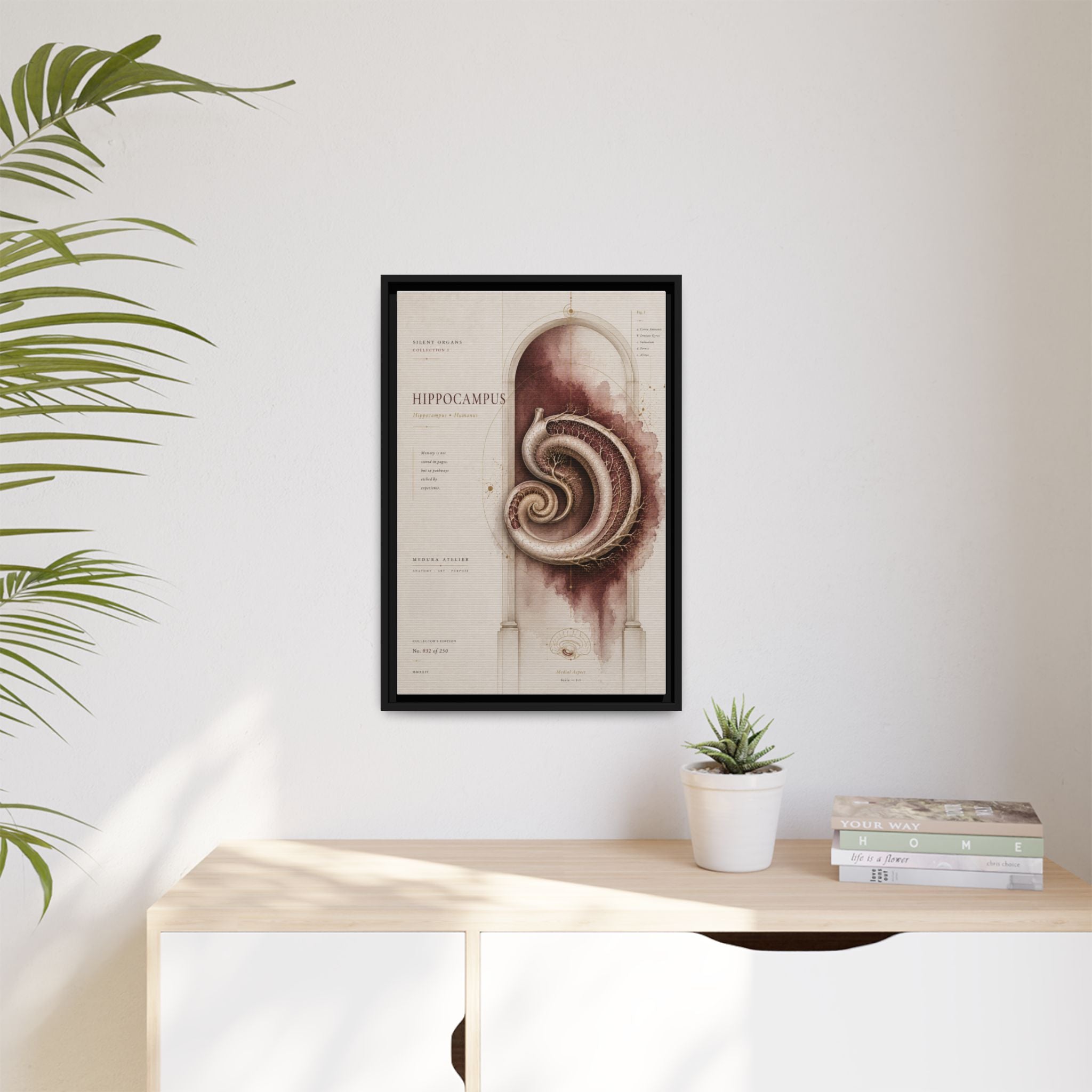 Silent Organs – Hippocampus Wall Art | Luxury Neuroscience Canvas Print | Museum-Inspired Fine Art