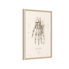 Anatomical Hand Skeleton Wall Art | Luxury Orthopaedic Canvas Print | Museum-Inspired Fine Art