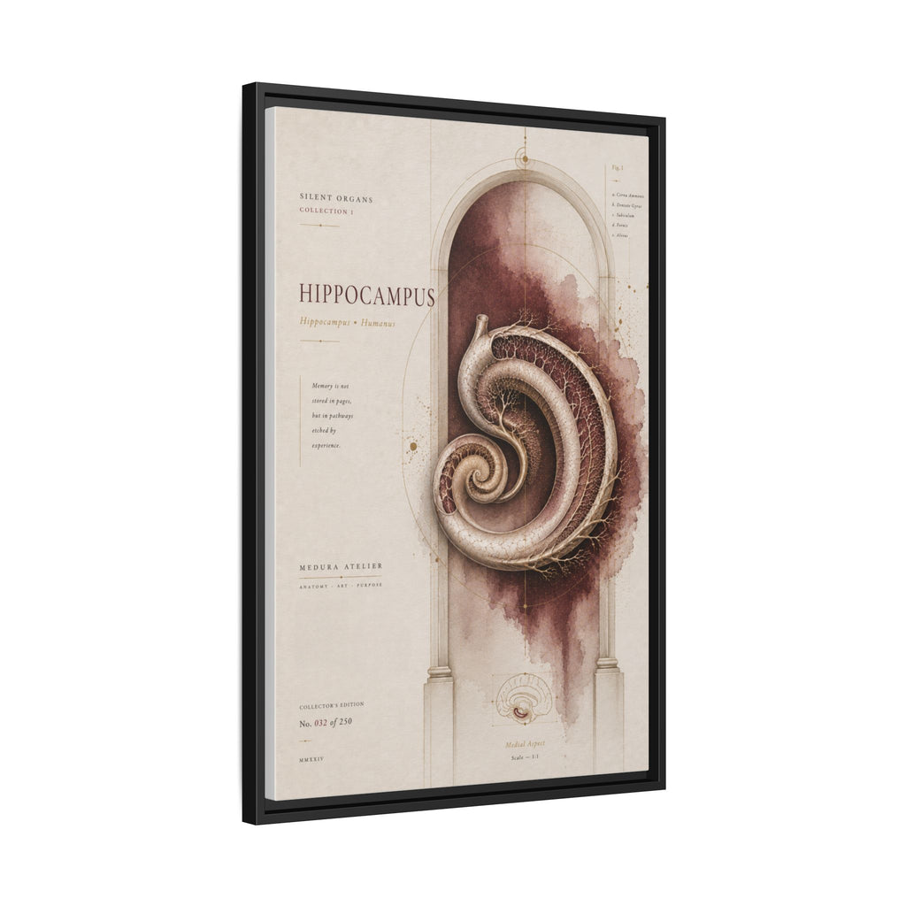Silent Organs – Hippocampus Wall Art | Luxury Neuroscience Canvas Print | Museum-Inspired Fine Art