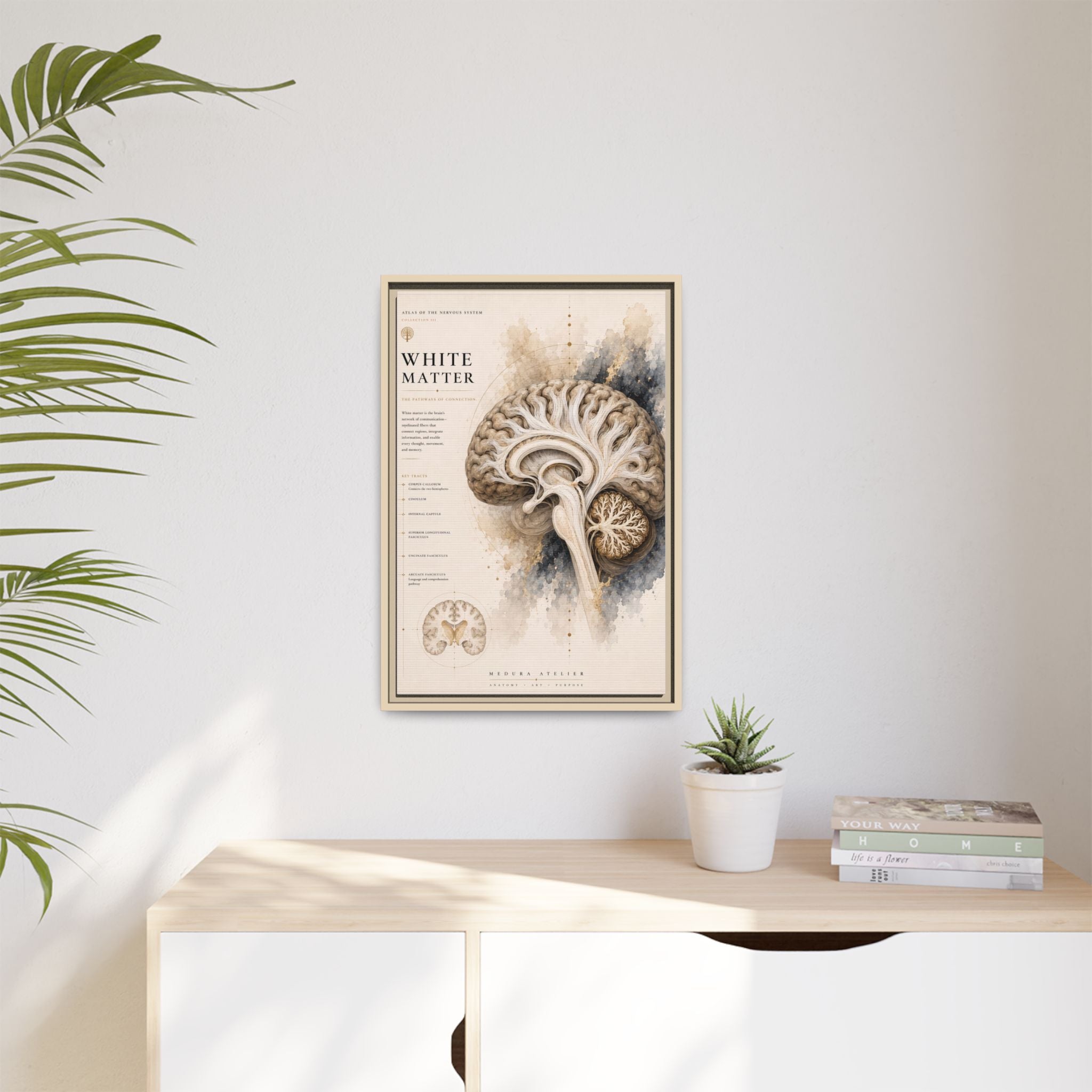White Matter Brain Wall Art | Luxury Neuroscience Canvas Print | Museum-Inspired Fine Art