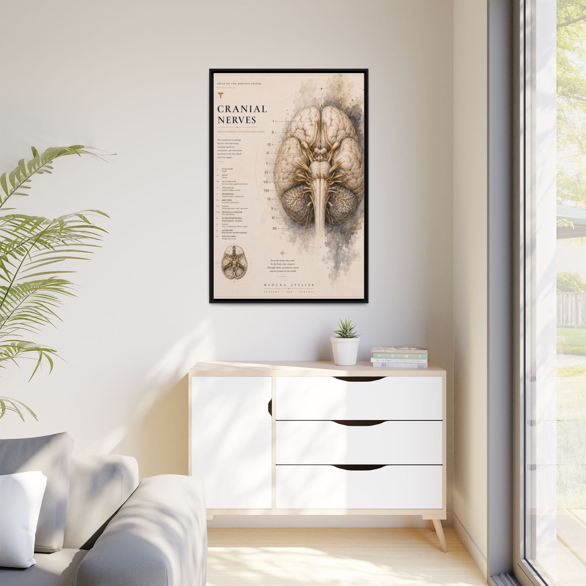 White Matter Brain Wall Art | Luxury Neuroscience Canvas Print | Museum-Inspired Fine Art