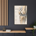 Orthopaedic Knee Anatomy Wall Art | Luxury Orthopedic Canvas Print | Museum-Inspired Fine Art