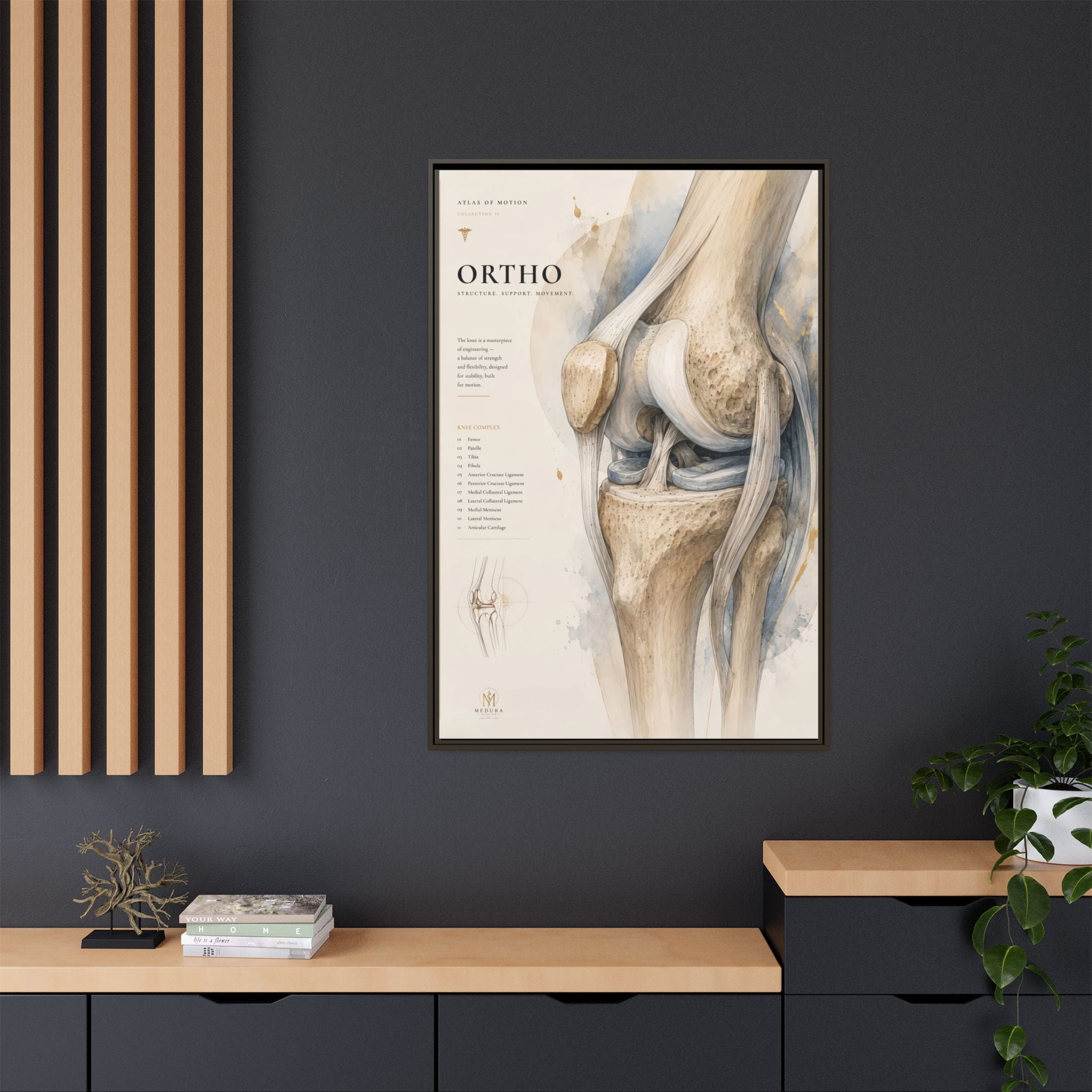 Orthopaedic Knee Anatomy Wall Art | Luxury Orthopedic Canvas Print | Museum-Inspired Fine Art