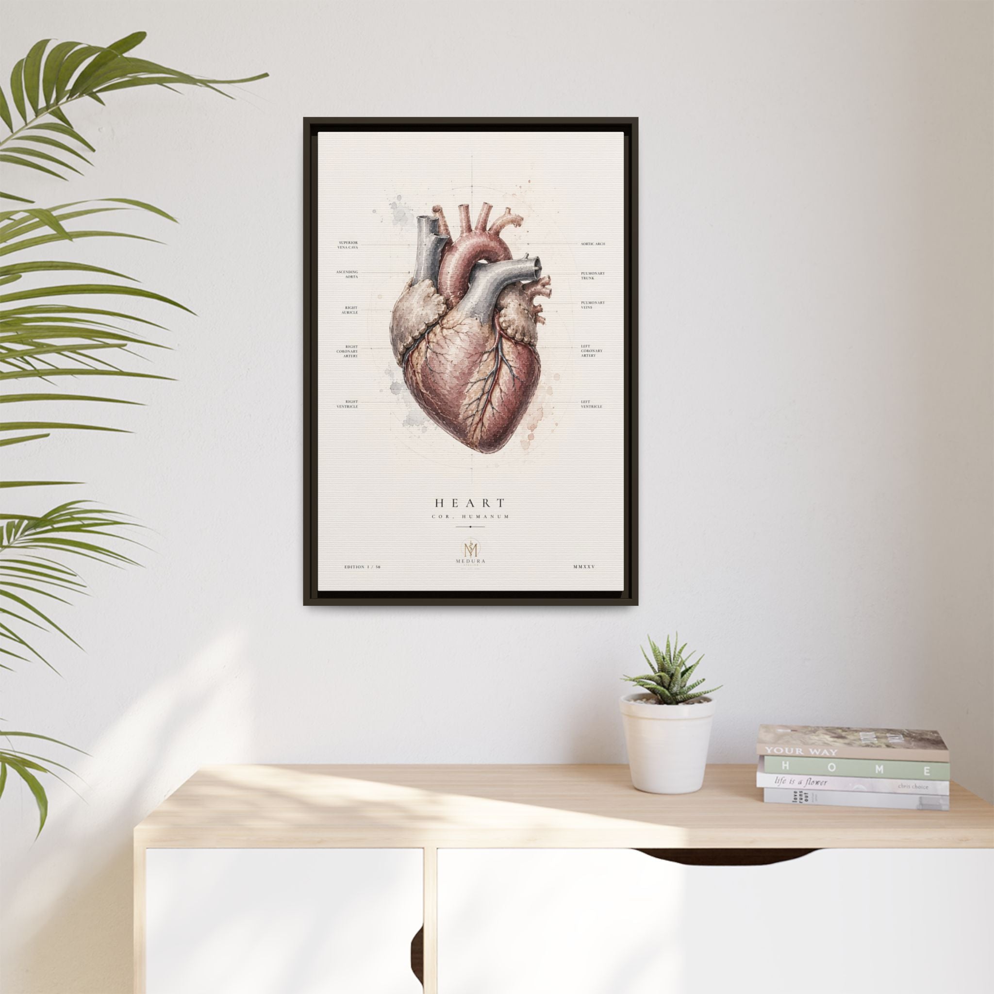 Anatomical Heart Wall Art | Luxury Medical Canvas Print | Museum-Inspired Fine Art