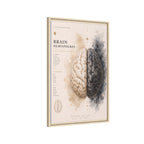 Brain Hemispheres Wall Art | Luxury Neuroscience Canvas Print | Museum-Inspired Fine Art