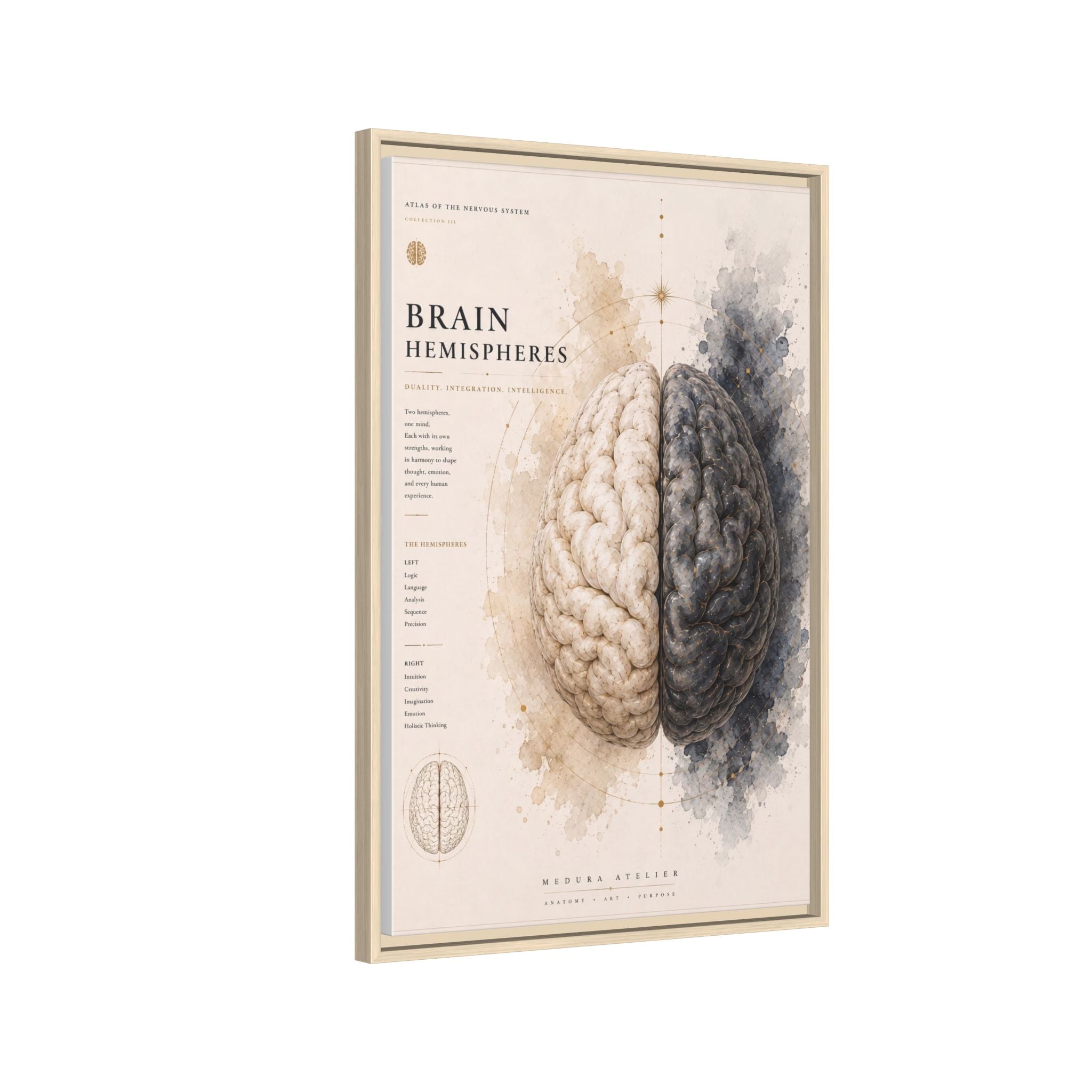 Brain Hemispheres Wall Art | Luxury Neuroscience Canvas Print | Museum-Inspired Fine Art
