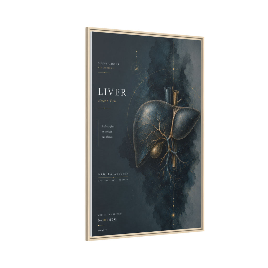 Silent Organs – Liver Wall Art | Luxury Anatomical Canvas Print | Museum-Inspired Fine Art