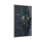 Silent Organs – Liver Wall Art | Luxury Anatomical Canvas Print | Museum-Inspired Fine Art