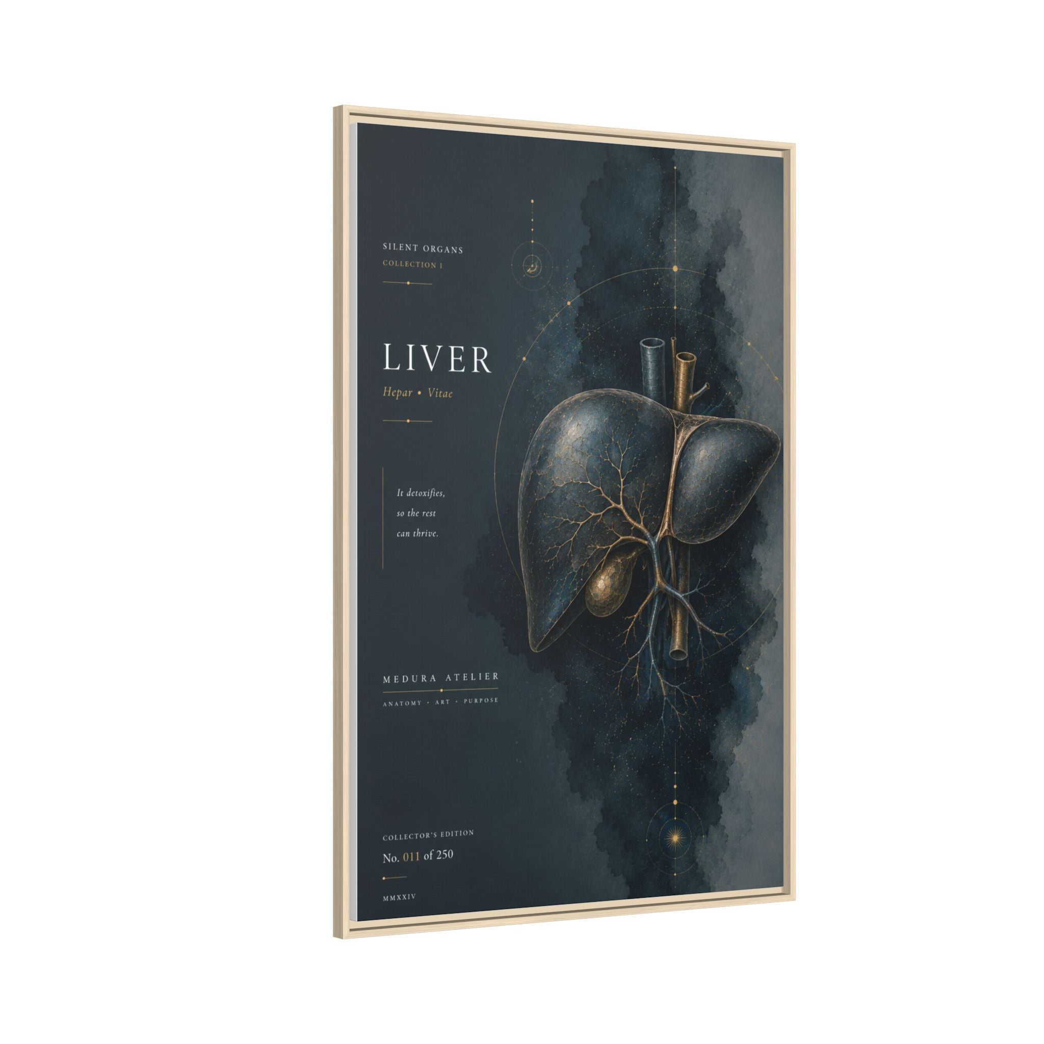 Silent Organs – Liver Wall Art | Luxury Anatomical Canvas Print | Museum-Inspired Fine Art