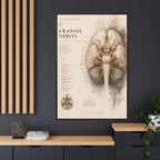White Matter Brain Wall Art | Luxury Neuroscience Canvas Print | Museum-Inspired Fine Art