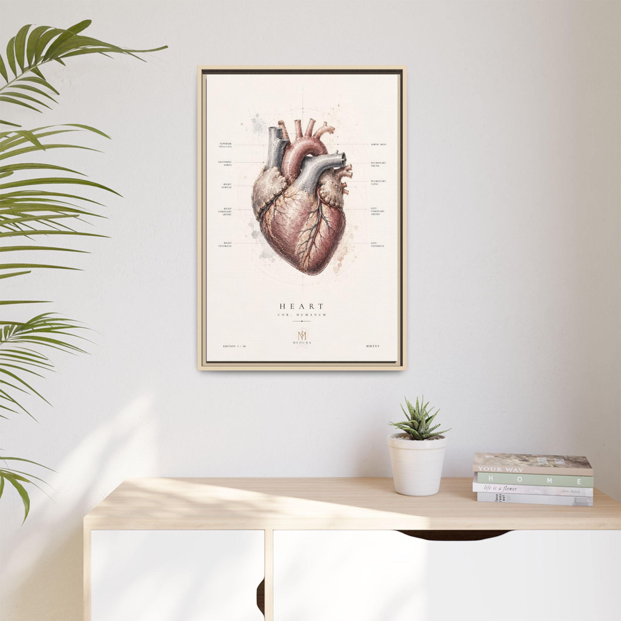 Anatomical Heart Wall Art | Luxury Medical Canvas Print | Museum-Inspired Fine Art