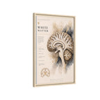 White Matter Brain Wall Art | Luxury Neuroscience Canvas Print | Museum-Inspired Fine Art