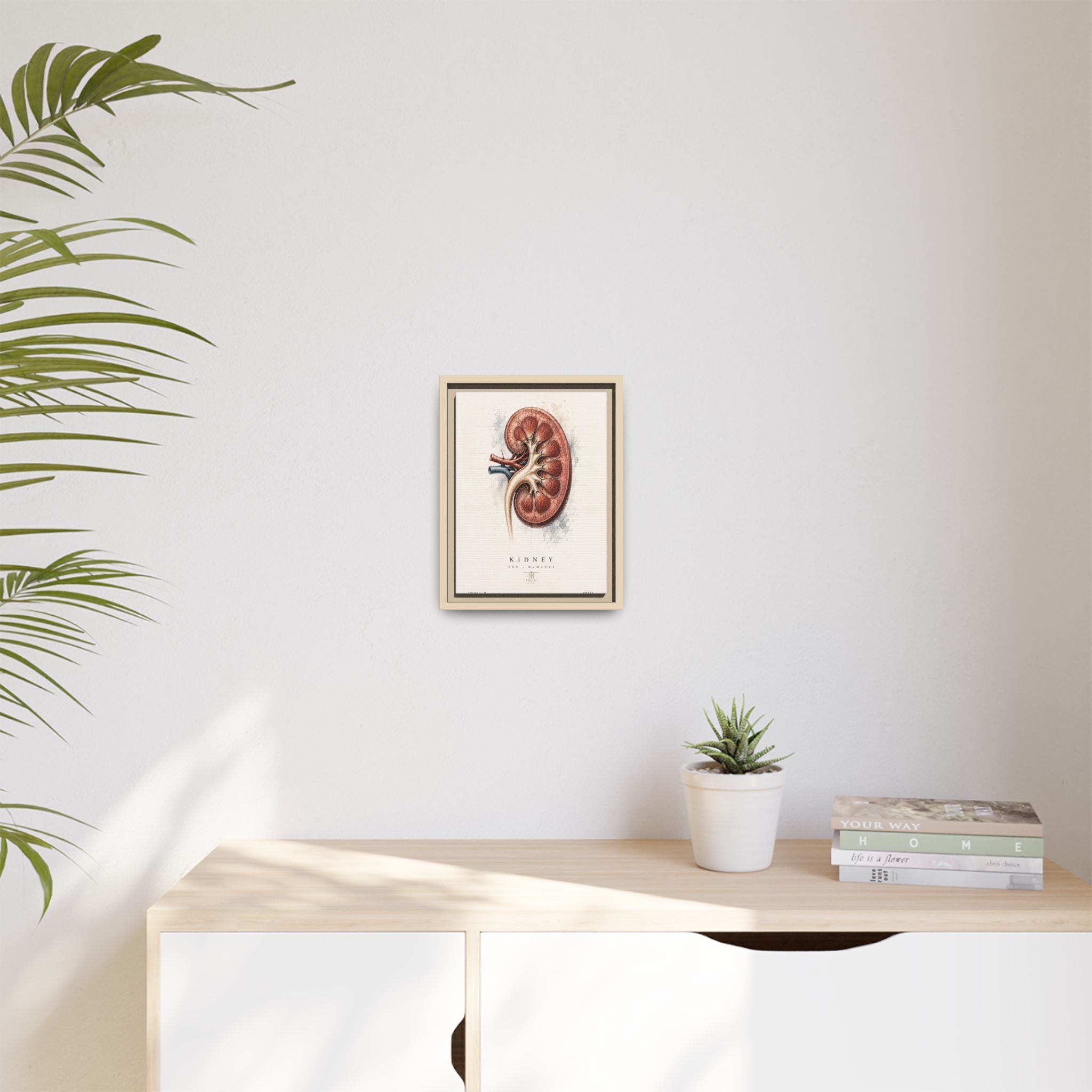 Anatomical Kidney Wall Art | Luxury Nephrology Canvas Print | Museum-Inspired Fine Art