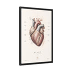 Anatomical Heart Wall Art | Luxury Medical Canvas Print | Museum-Inspired Fine Art