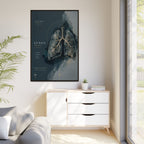 Silent Organs – Lungs Wall Art | Luxury Anatomical Canvas Print | Museum-Inspired Fine Art