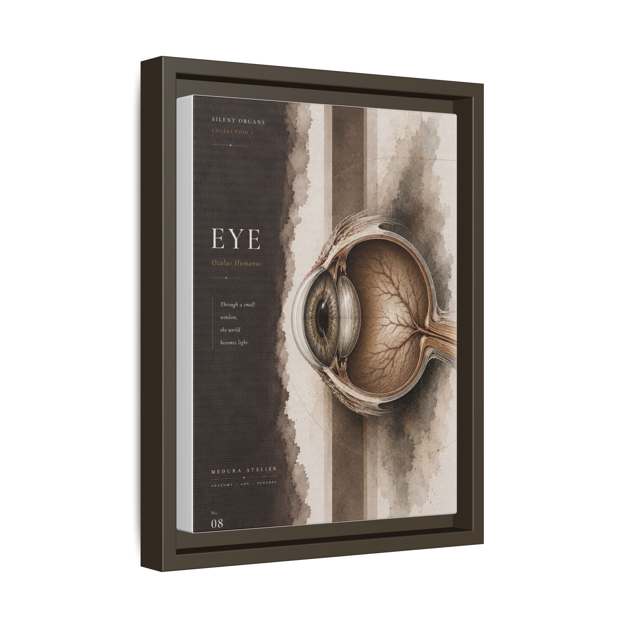 Silent Organs – Eye Wall Art | Luxury Anatomical Canvas Print | Museum-Inspired Fine Art