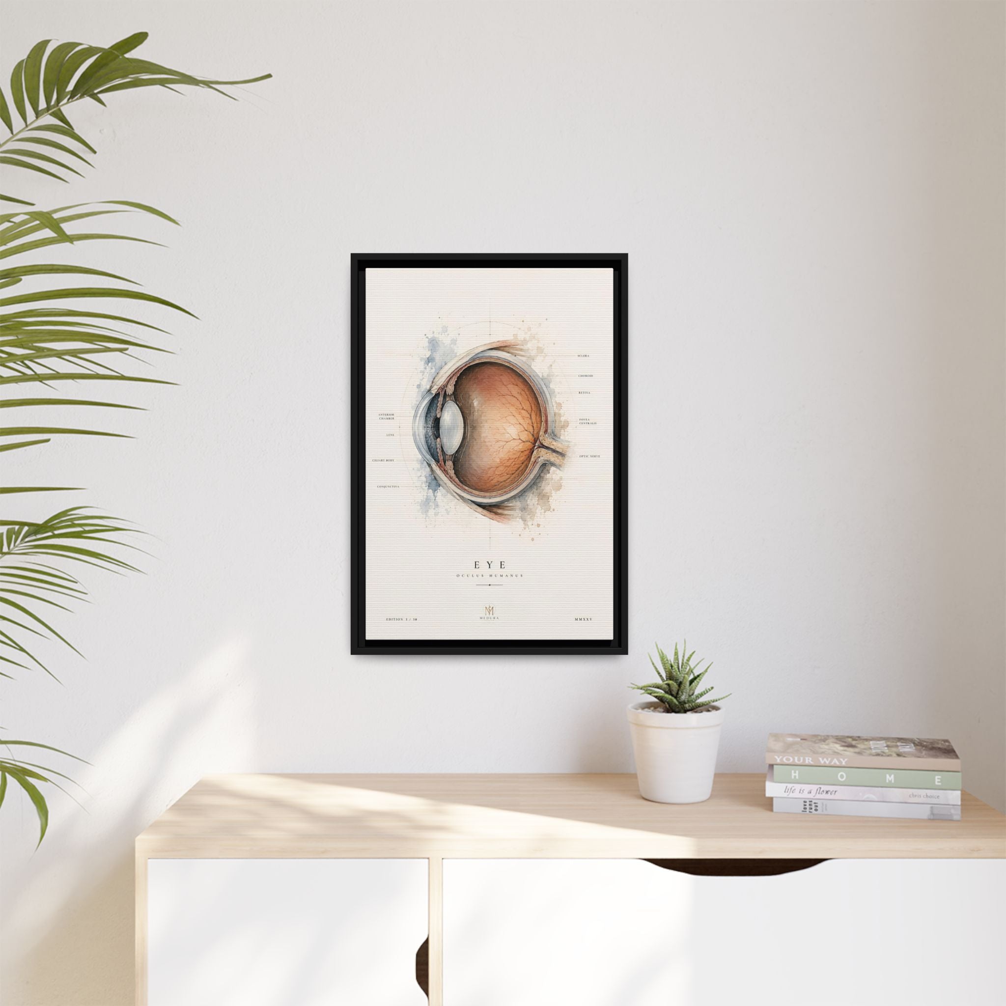 Anatomical Eye Canvas Print | Luxury Ophthalmology Wall Art | Museum-Inspired Medical Decor