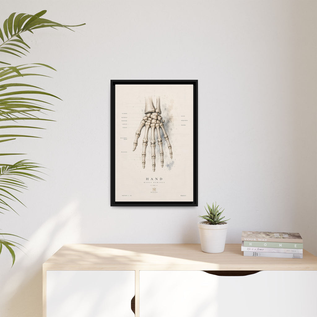 Anatomical Hand Skeleton Wall Art | Luxury Orthopaedic Canvas Print | Museum-Inspired Fine Art