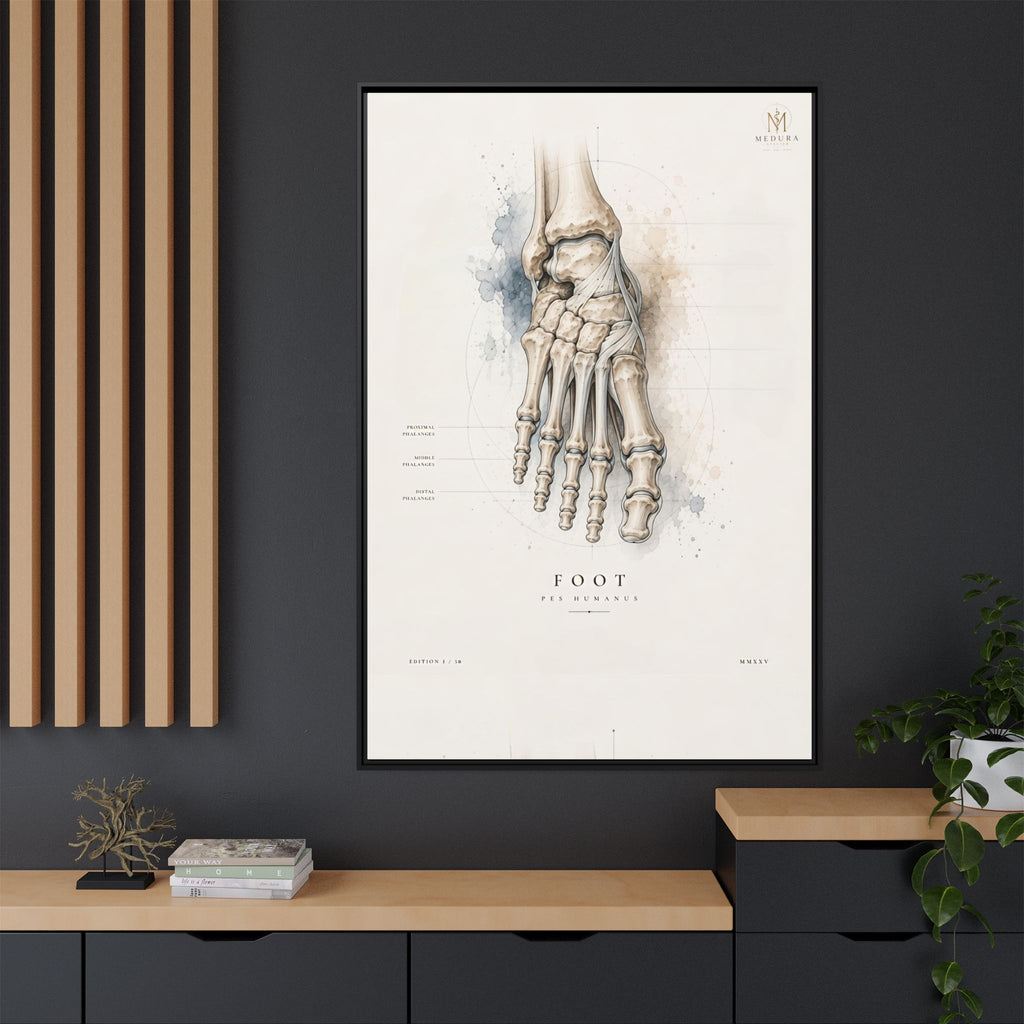 Anatomical Foot Skeleton Wall Art | Luxury Podiatry Canvas Print | Museum-Inspired Fine Art