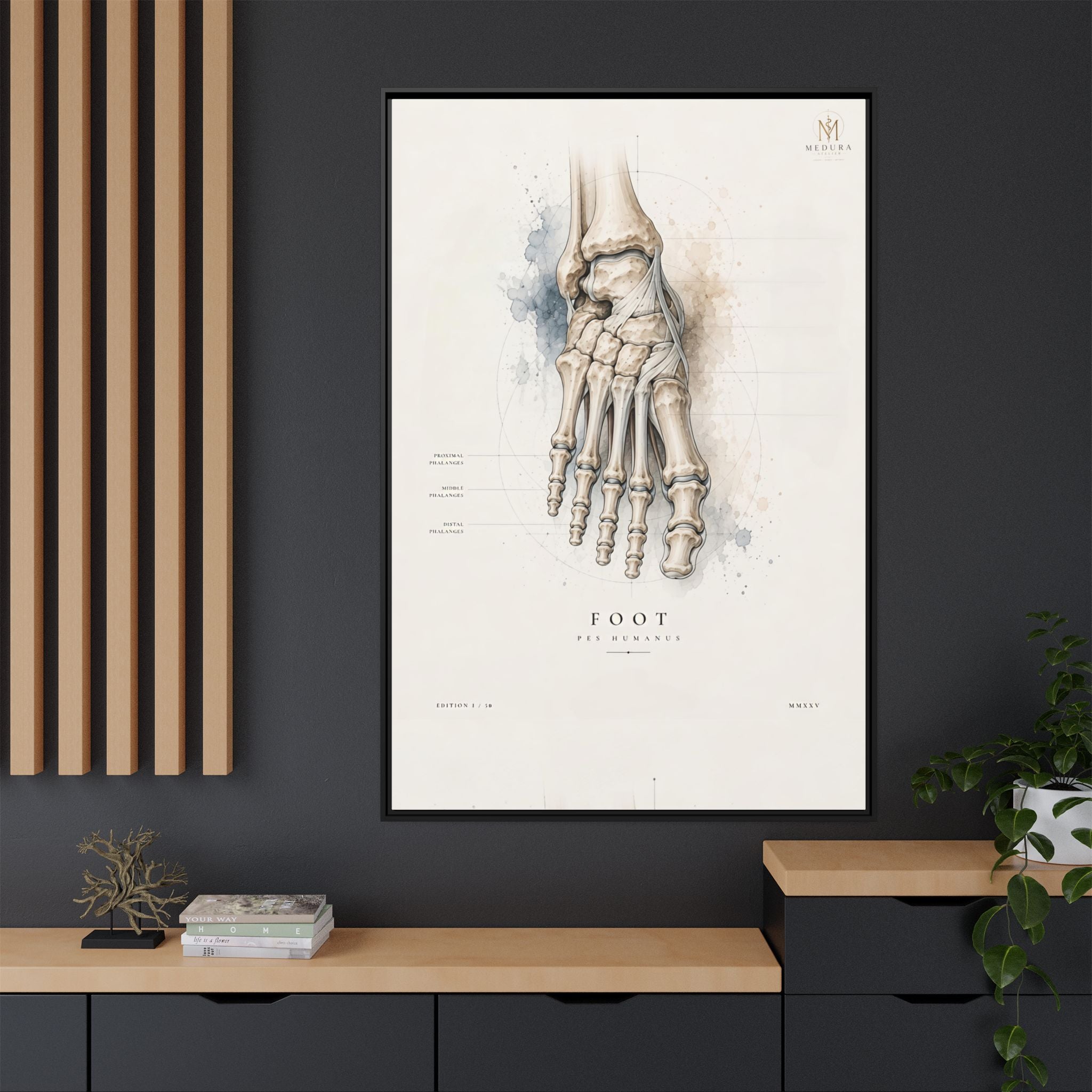 Anatomical Foot Skeleton Wall Art | Luxury Podiatry Canvas Print | Museum-Inspired Fine Art