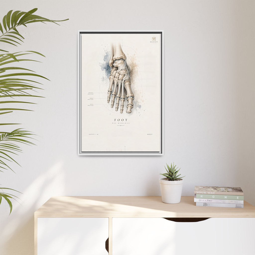 Anatomical Foot Skeleton Wall Art | Luxury Podiatry Canvas Print | Museum-Inspired Fine Art