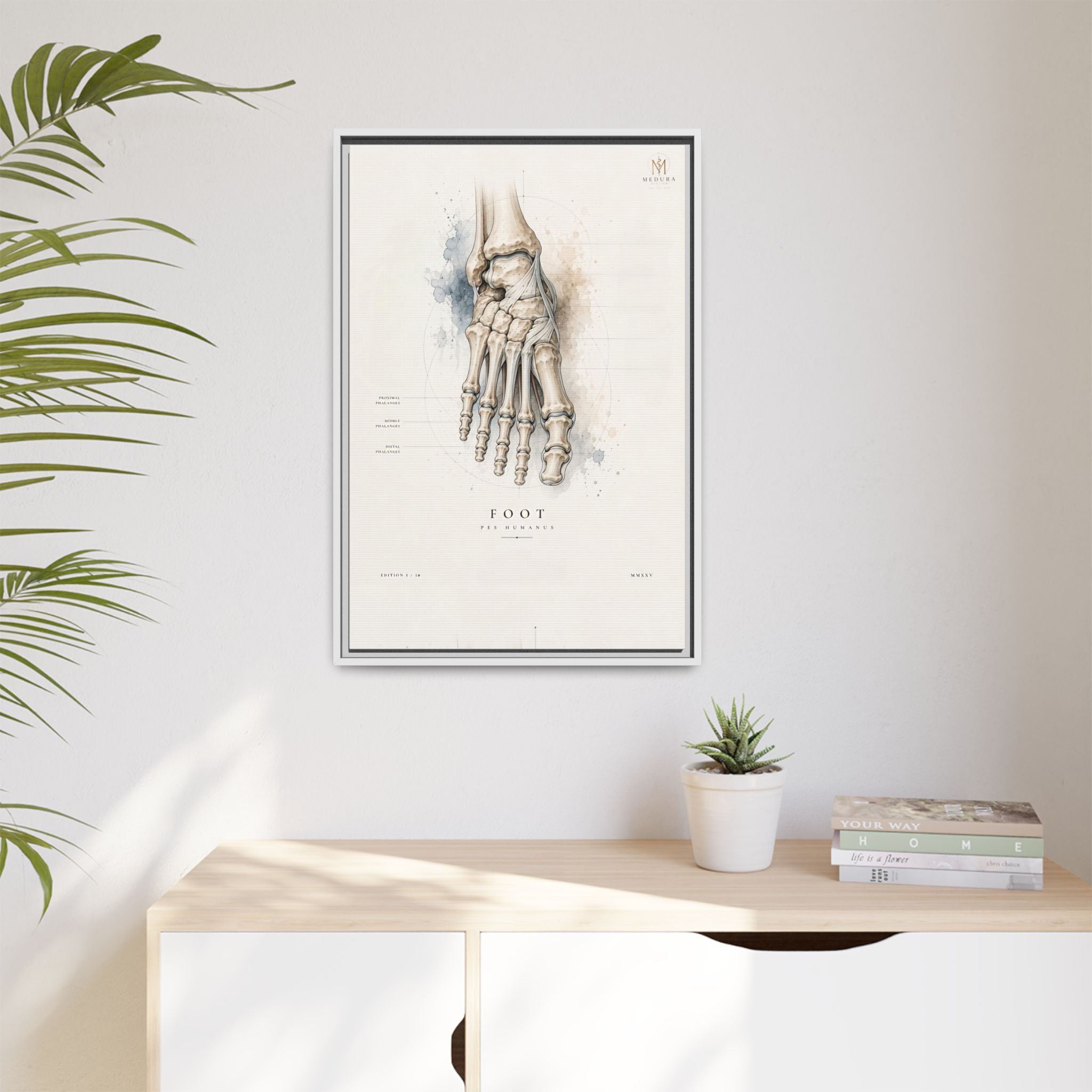 Anatomical Foot Skeleton Wall Art | Luxury Podiatry Canvas Print | Museum-Inspired Fine Art