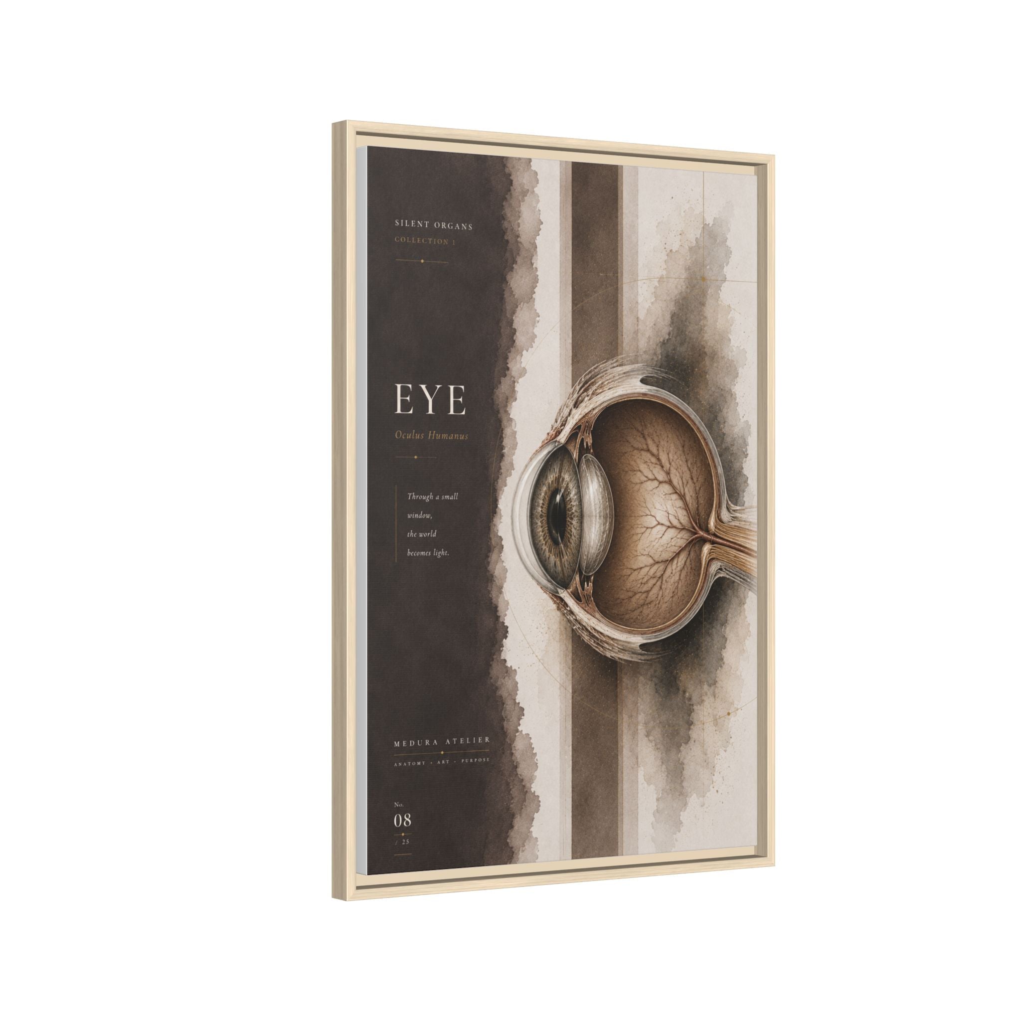 Silent Organs – Eye Wall Art | Luxury Anatomical Canvas Print | Museum-Inspired Fine Art