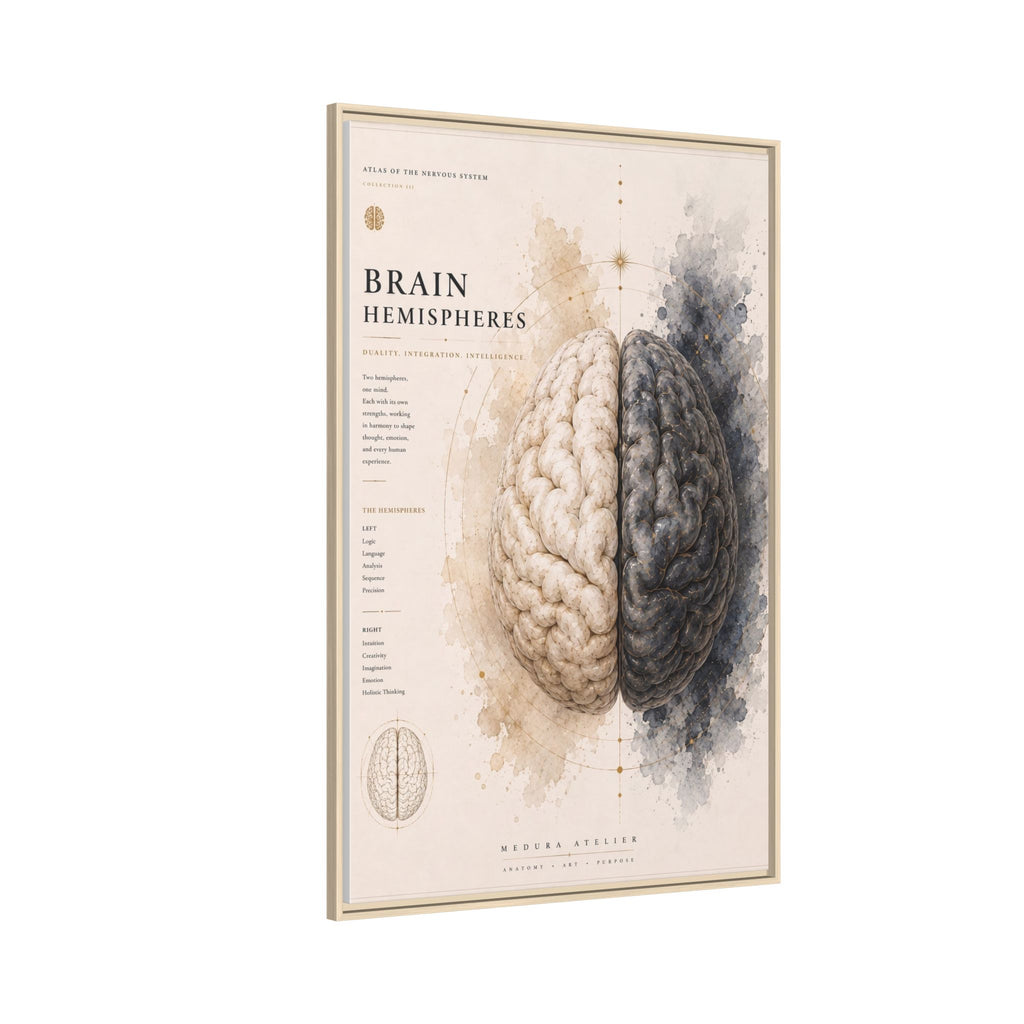 Brain Hemispheres Wall Art | Luxury Neuroscience Canvas Print | Museum-Inspired Fine Art