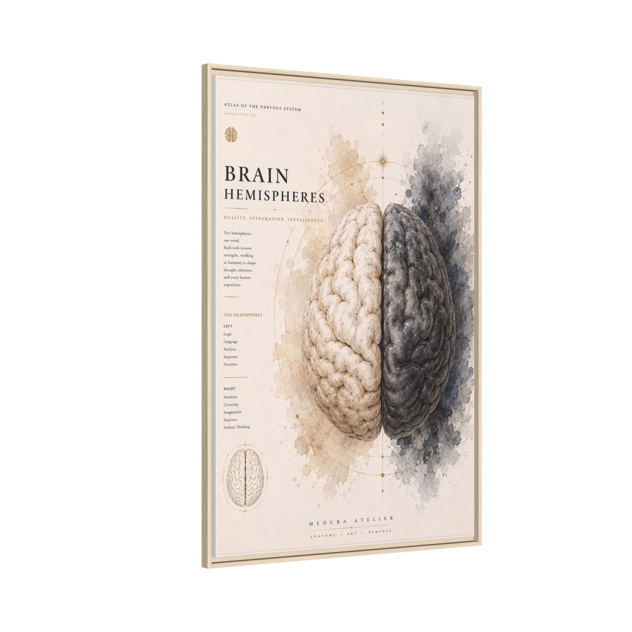 Brain Hemispheres Wall Art | Luxury Neuroscience Canvas Print | Museum-Inspired Fine Art
